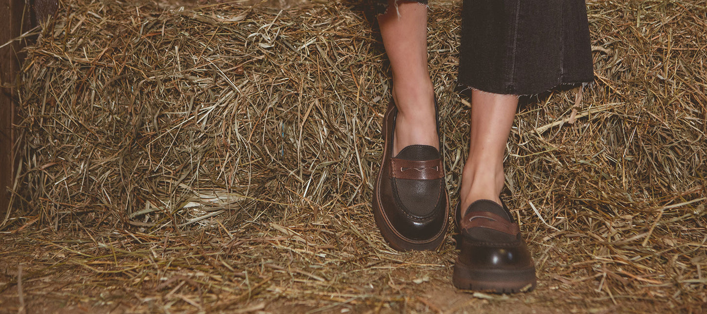 Close up of black and brown shoes standing on hay.