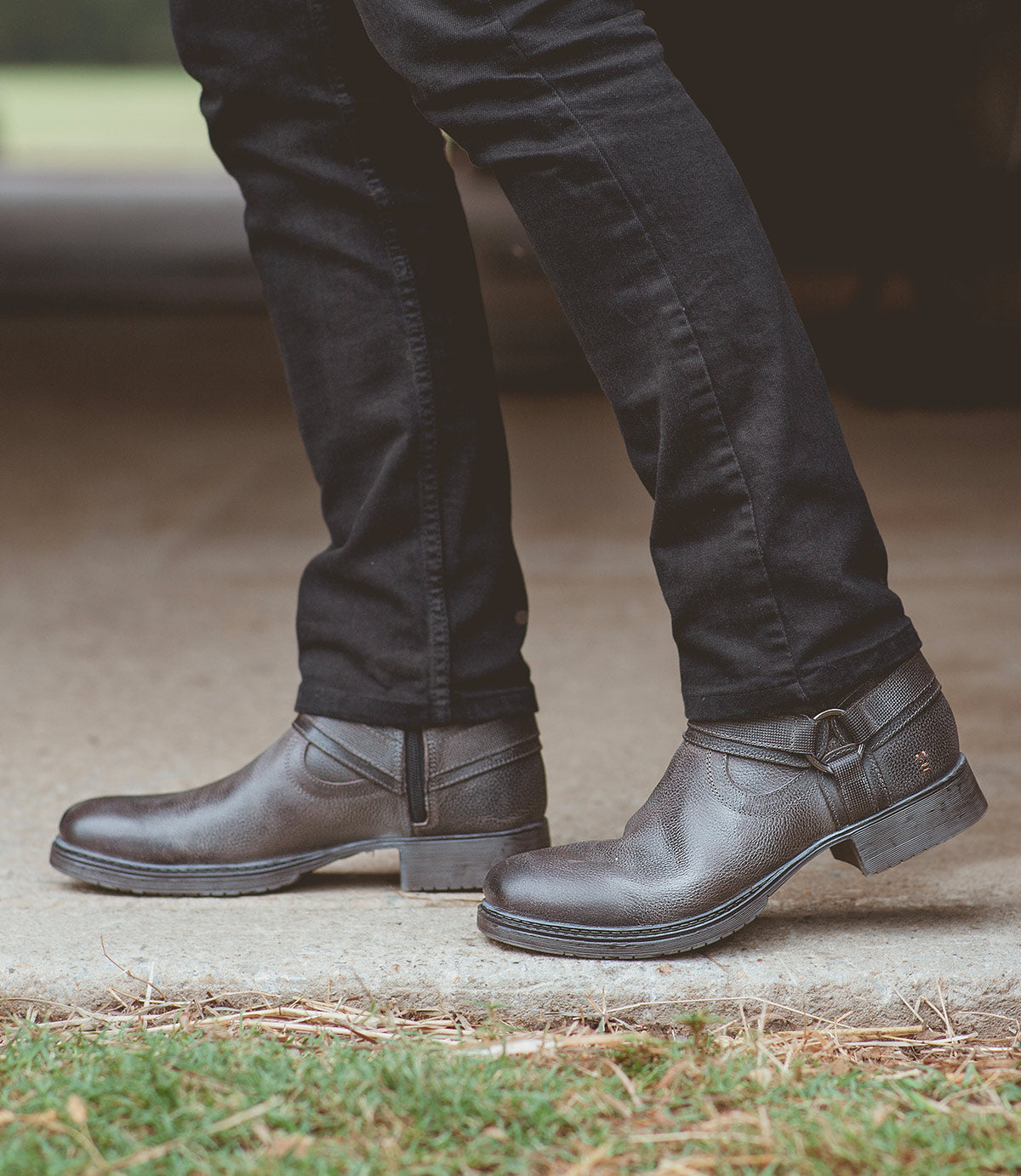 
                  
                    Colton II | Roan
                  
                
