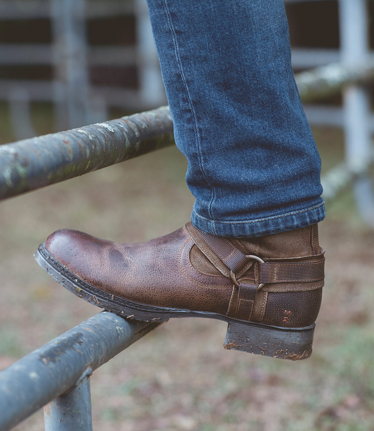 Colton II | Roan