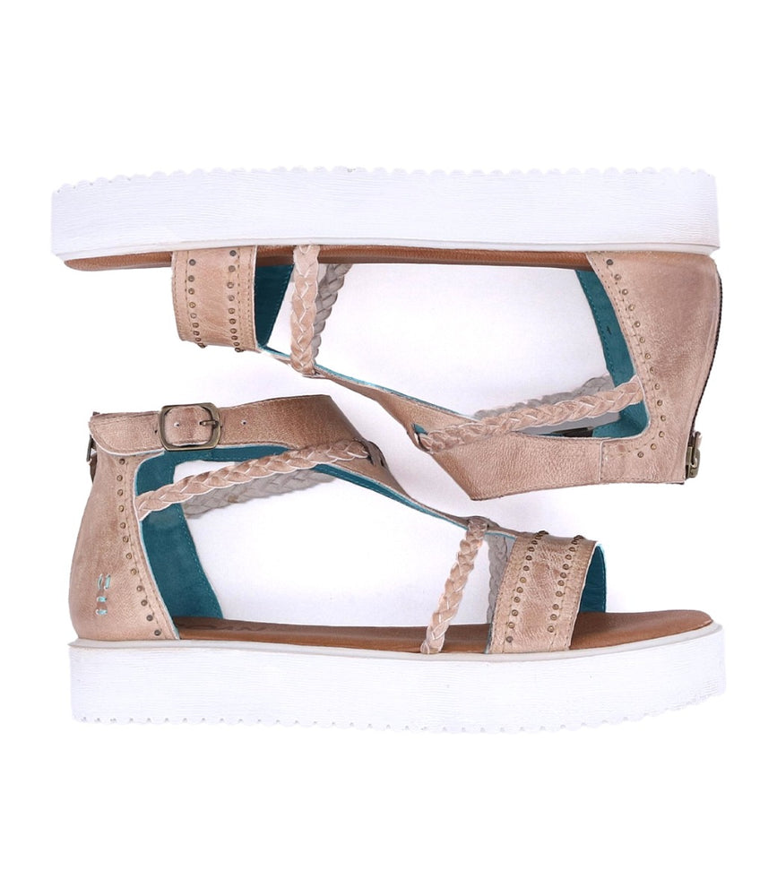 
                  
                    Posey II | Roan
                  
                